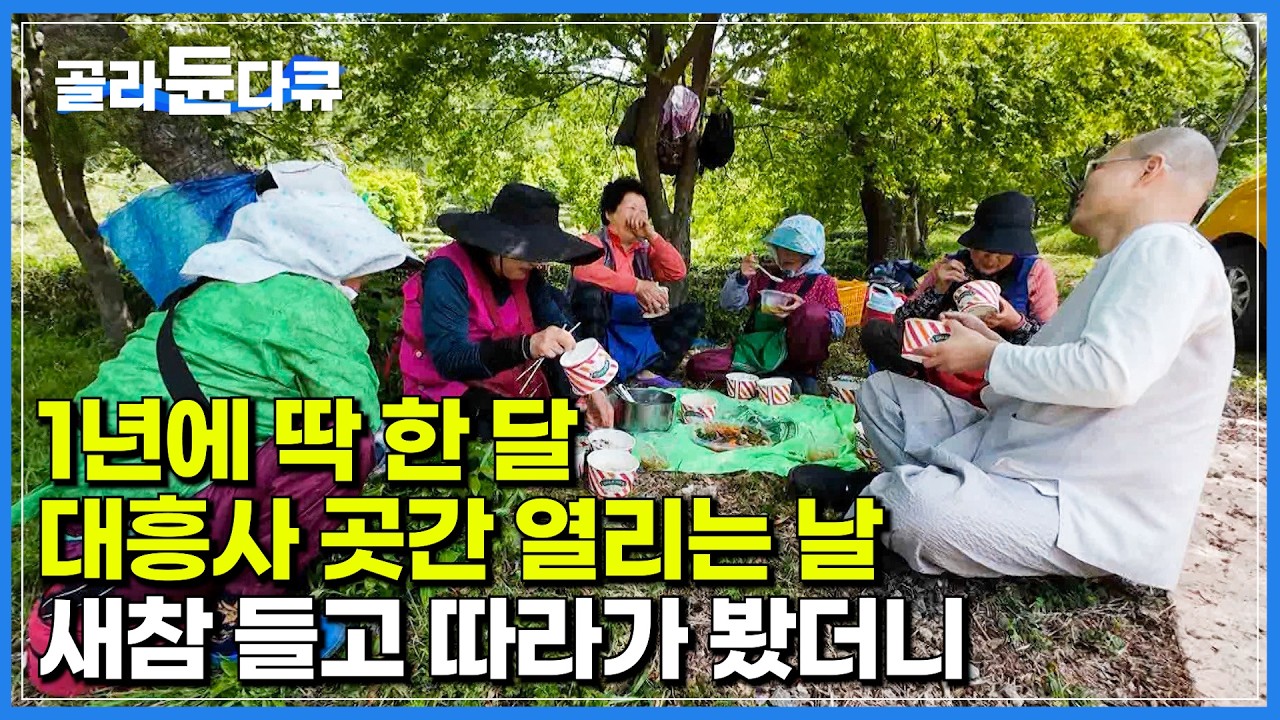 1년 중 딱 한 달만 열린다는 스님들의 곳간엔 어떤 귀한 보물이 숨어 있을까?｜새참은 땅바닥에 주저앉아 먹는 맛｜350도 고온에 스님이 직접 덖은 대흥사 녹차｜한국기행｜#골라듄다큐