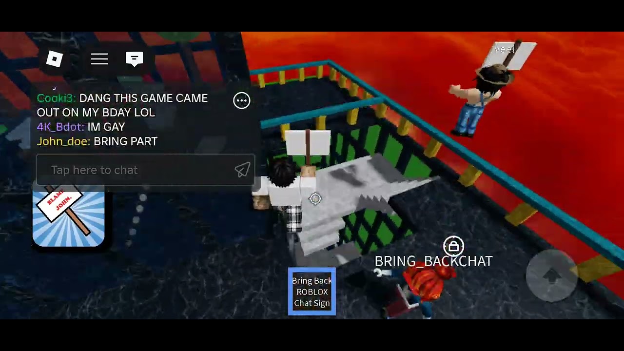 The most people I saw in the roblox chat protest