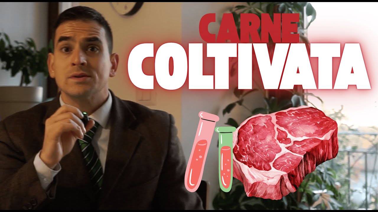 La verit&agrave; sulla CARNE COLTIVATA che nessuno ti dice