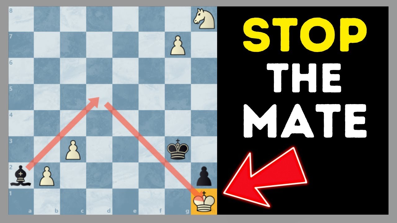 5 Chess Puzzles Guaranteed To Fool You 🤔