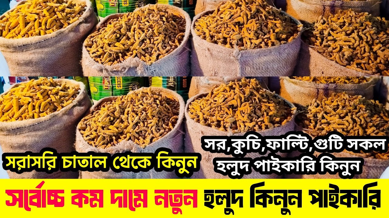 শুকনা হলুদের পাইকারি বাজার | সরাসরি চাতাল থেকে পাইকারি হলুদ কিনুন |