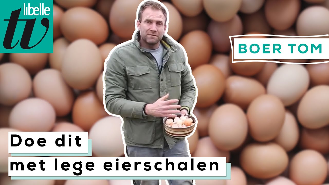 Eierschalen over na de passen? Dit kan je er mee doen - Boer Tom