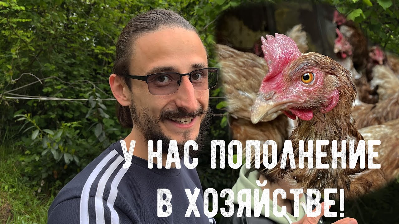Ларин Vlog. Эпизод 03. Пополнение в хозяйстве, Свежая Габа, Мед из Барбариса