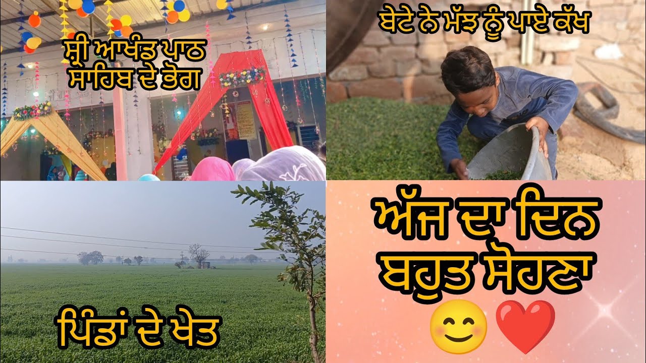 ਪਿੰਡਾਂ ਦੀ ਰੌਣਕ 😊