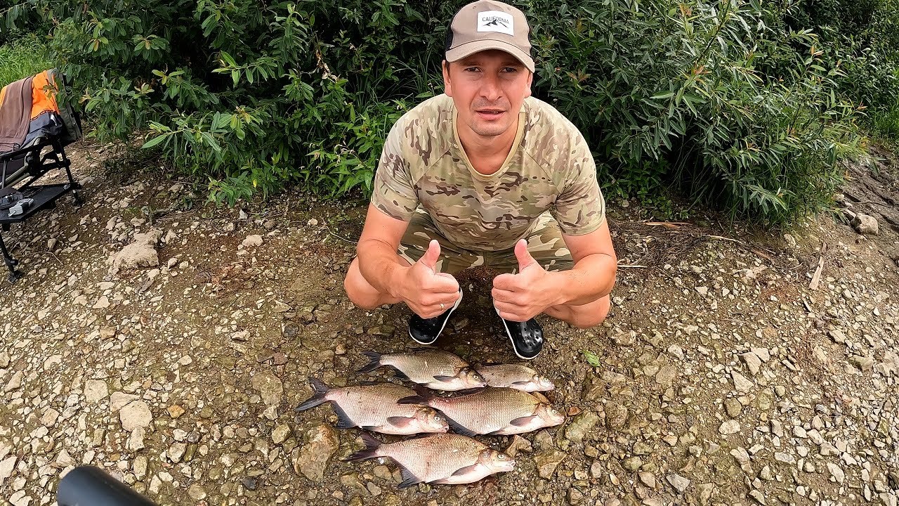 Всю ночь кормил спомбом, а утром ловил лещей на донки!!! #fishing #рыбалка #река