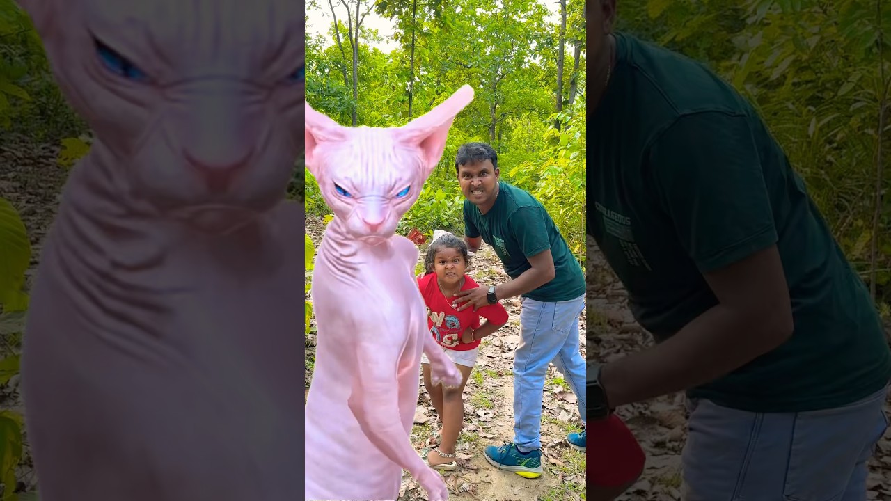 Baby girl and papa  Dancing with cat 🐈 🥶😳🤪🤣 #shorts #viral #trending #viralvideos #shortvideo