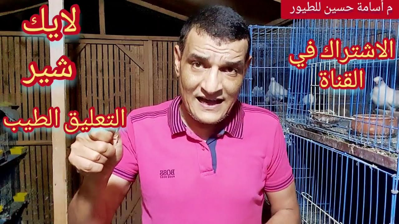 علاج الاسهالات في الطيور وخاصة الحمام اللي بعد العلاج من الامراض ...لخبطة مالهاش لازمة م أسامة حسين