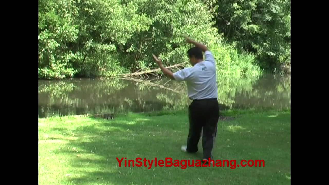Yin Style Bagua Circle Turning Training