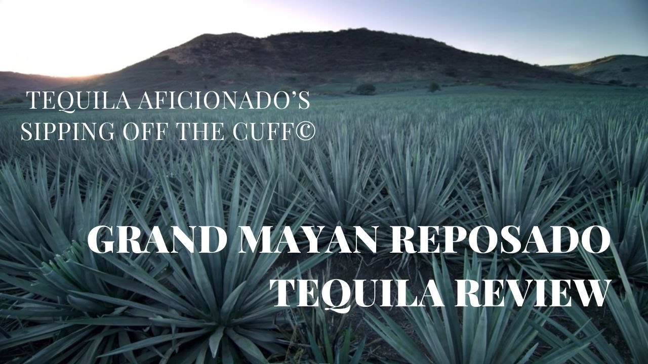 Grand Mayan Reposado Tequila Review