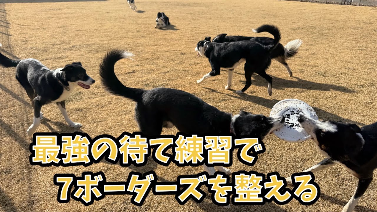 最強の待て練習で7ボーダーズを整える