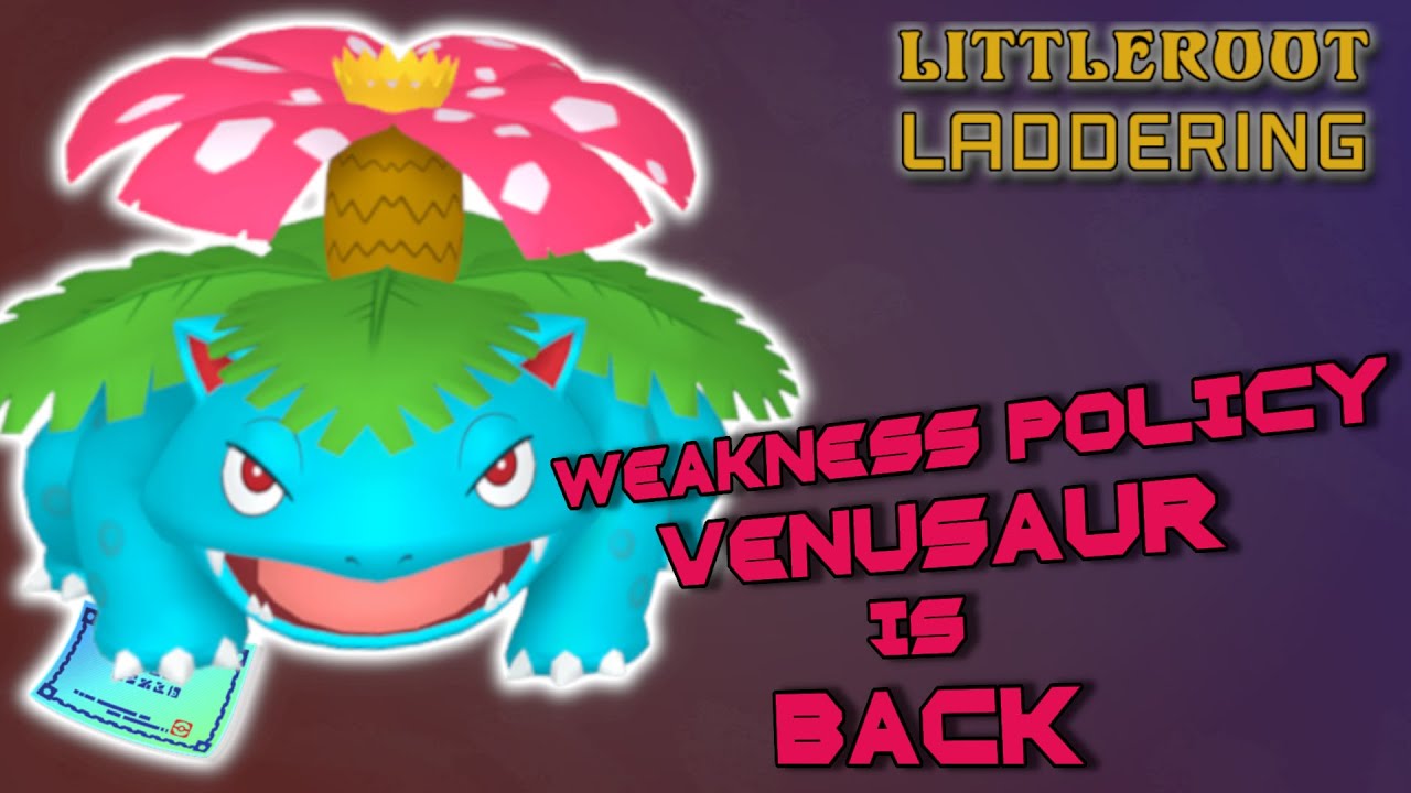 Weakness Policy Venusaur is BACK! | Pokemon VGC 2024 | Littleroot Laddering