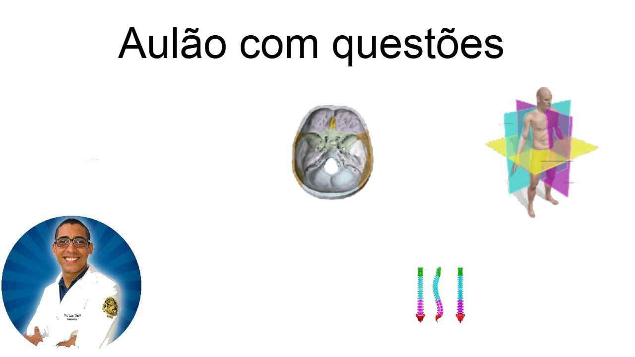 Aulão de questões sobre introdução à anatomia, crânio e coluna vertebral.