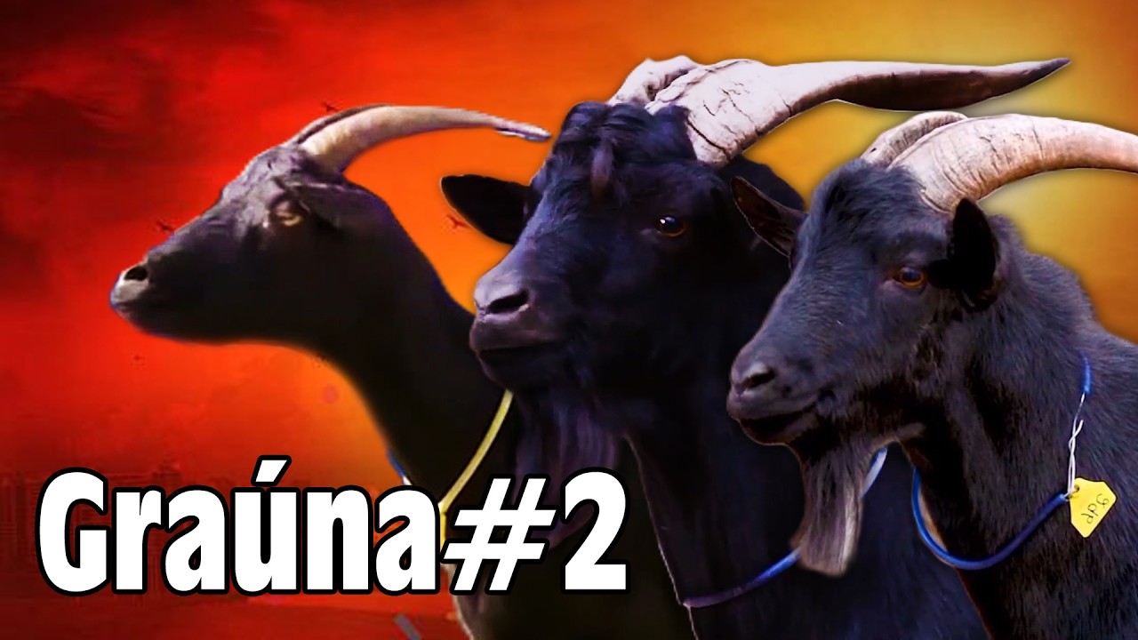 02- CRIAÇÃO -  RAÇA CAPRINA GRAÚNA