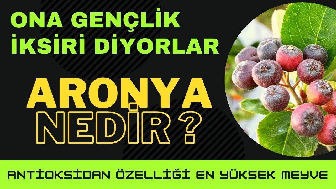 ONA GENÇLİK İKSİRİ DİYORLAR. ARONYA NEDİR ?