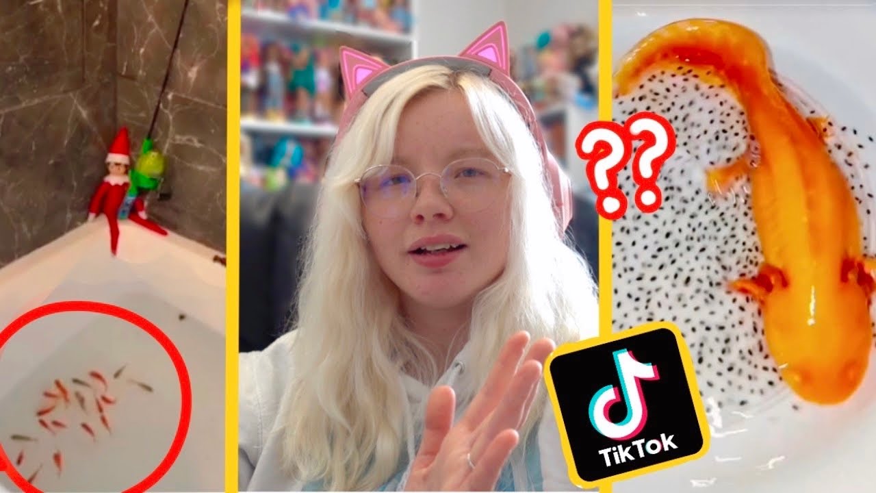 These Harmful TikTok Pet Trends Need to Stop