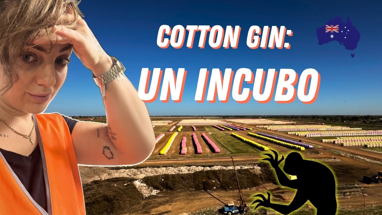 Cotton Gin in Australia: Il lato nascosto di uno dei lavori più pagati
