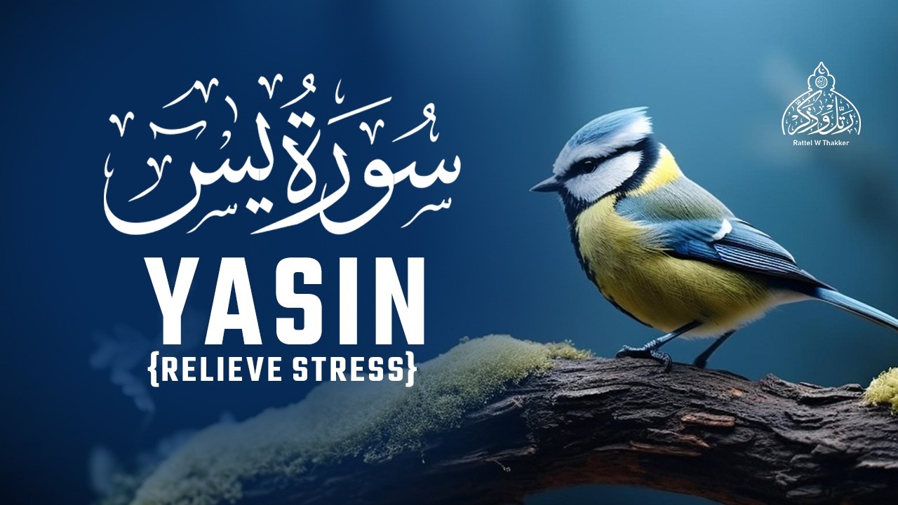 Surah Yasin (Yaseen) for Healing | Relieve Stress, Depression & Anxiety | سورة يس | #surahyaseen