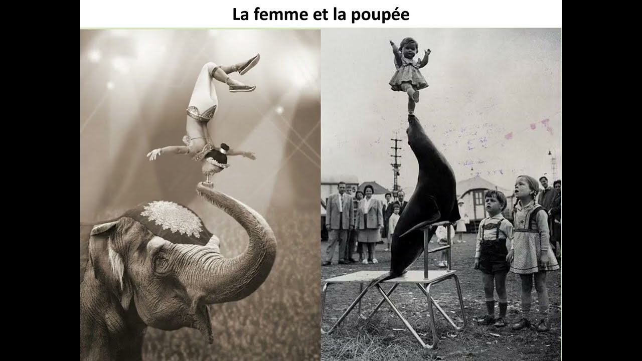 phénomènes de foire