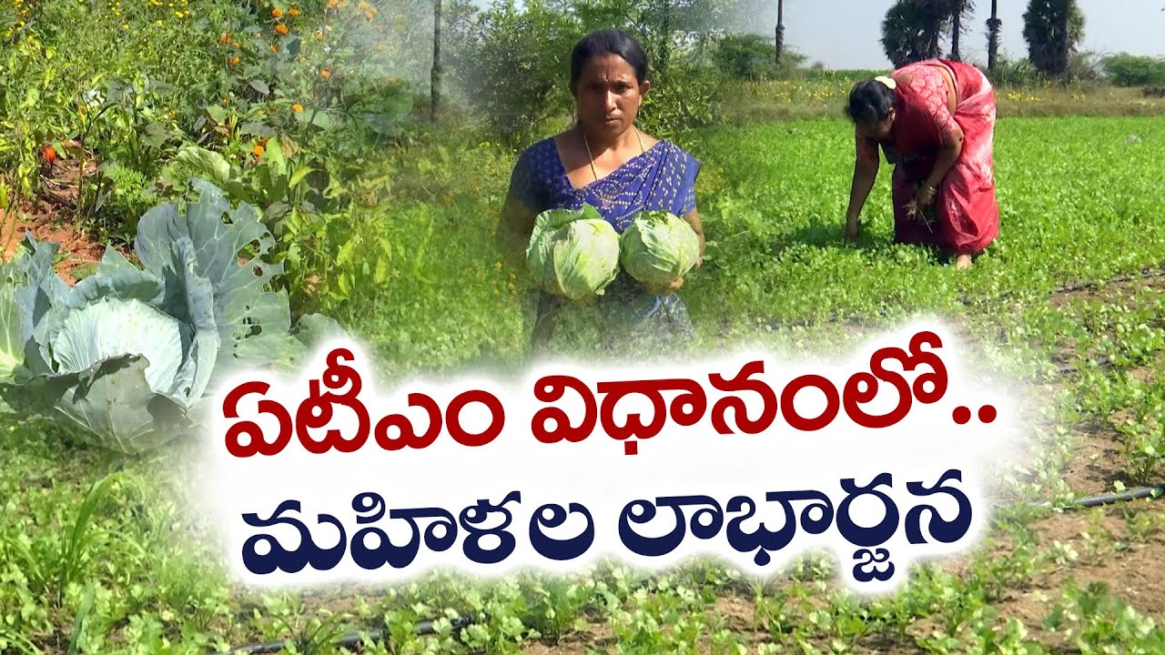 ఏటీఎం విధానంలో మహిళల లాభార్జన | Women's Profit-Making Through the ATM System