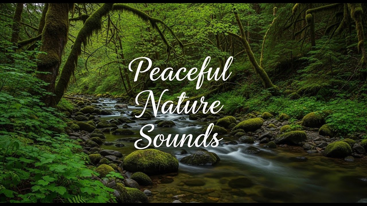 Mind Therapy 🌊 | 癒しの自然音 for Deep Sleep Soothing River Flow