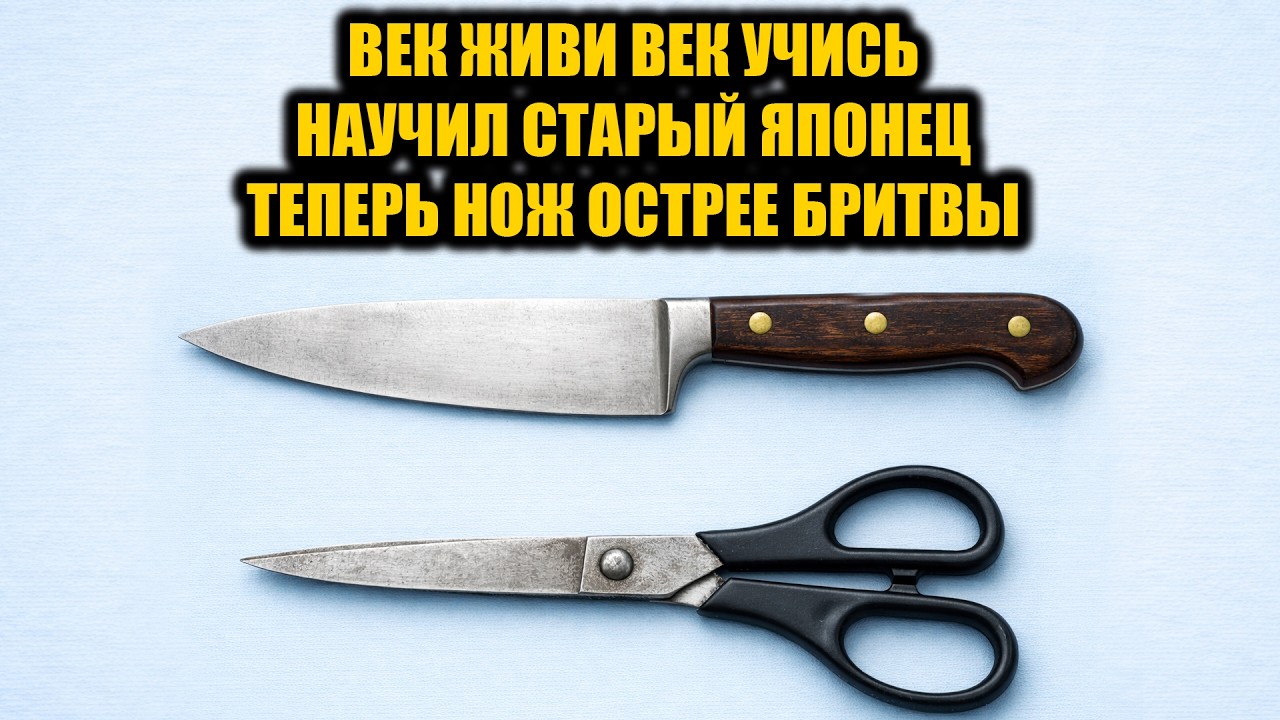 Научил ЯПОНЕЦ! Теперь острее бритвы, как легко и быстро наточить тупые ножи и ножницы