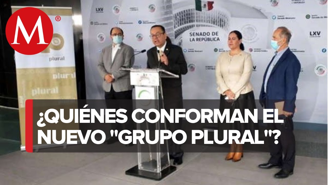 Grupo Plural afirma que no ser&aacute; grupo de choque