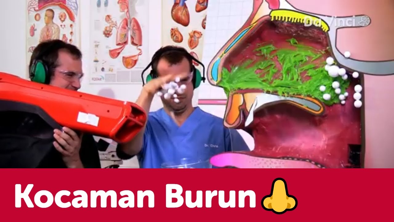 Kocaman Burun👃 | Görevimiz: İnsan Vücudu | Da Vinci TV Türkiye
