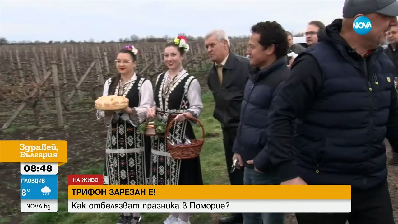 Трифон Зарезан е! Как отбелязват празника в Поморие? - Здравей, България (14.02.2024)