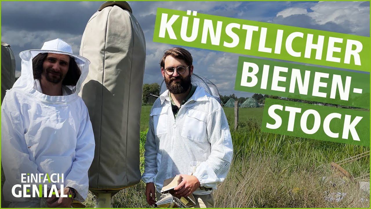 Künstliche Baumhöhlen statt konventioneller Bienenstöcke | Einfach Genial | MDR