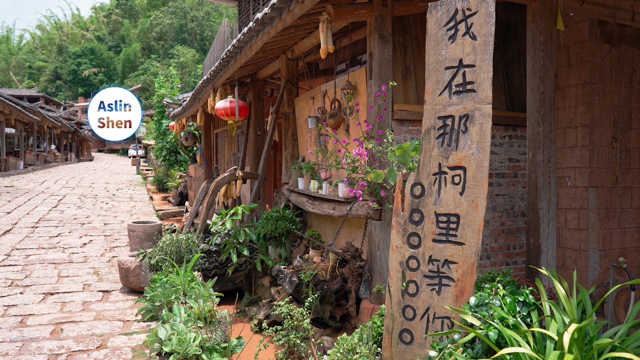 普洱｜那柯里茶马古道｜茶马古城｜云南野生菌