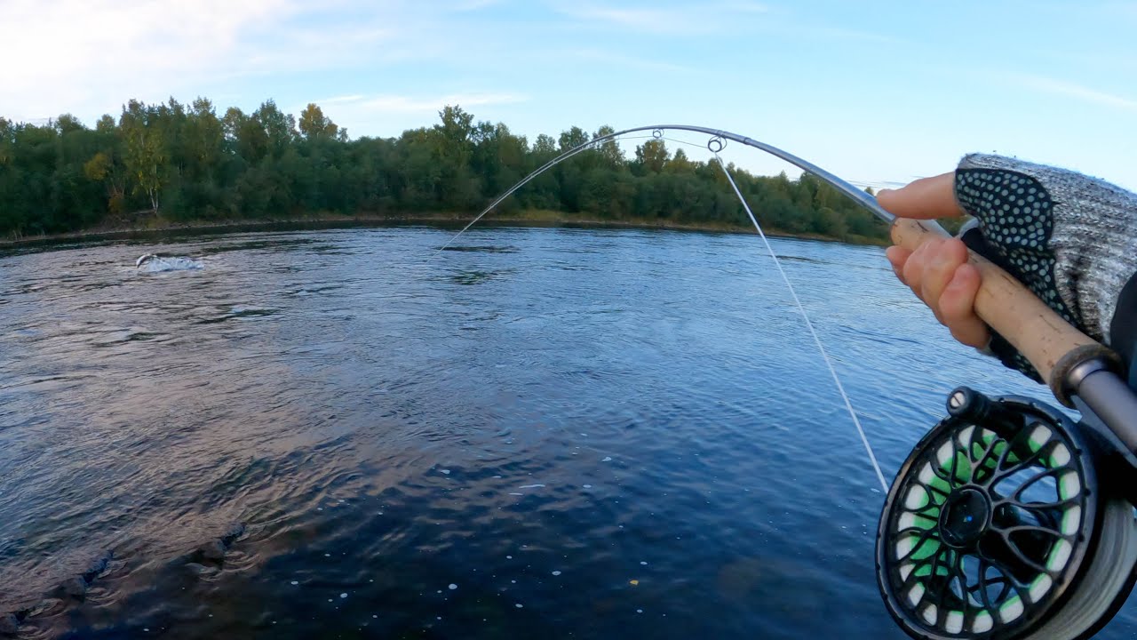 Волшебное утро рыбалки на лосося в Форшаге