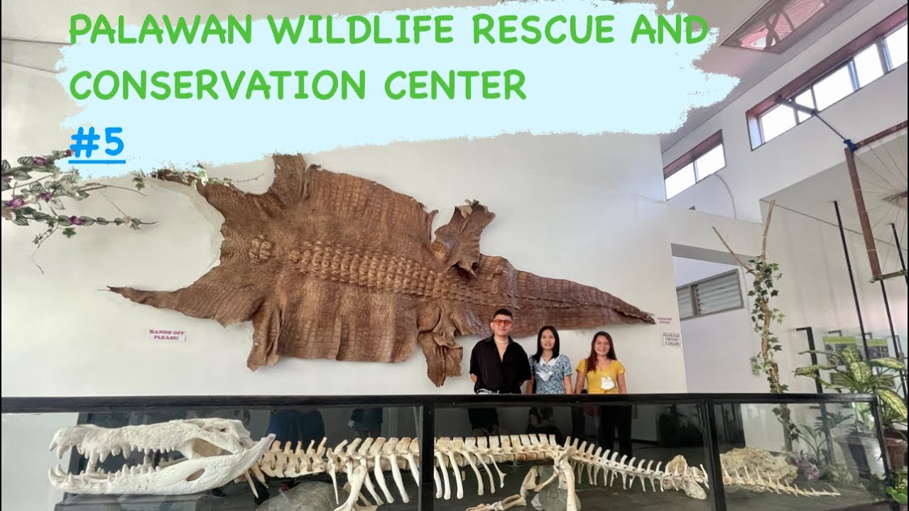 Palawan Wildlife Rescue and Conservation Center quick tour