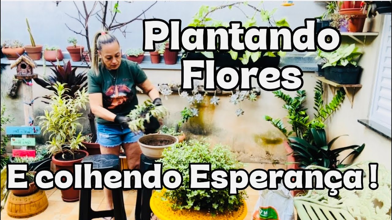  Uma manha comum  no jardim 🪴 REPLANTEI A FLOR DE MAIO E PINTEI O OUTRO BANCO 🌻🪴🪏🖌️🎨