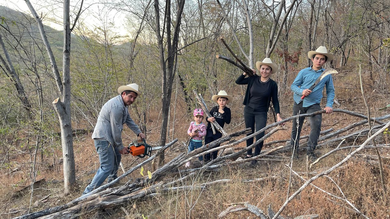 EN BUSCA DE LEÑA SECA PARA NUESTRA COCINA
