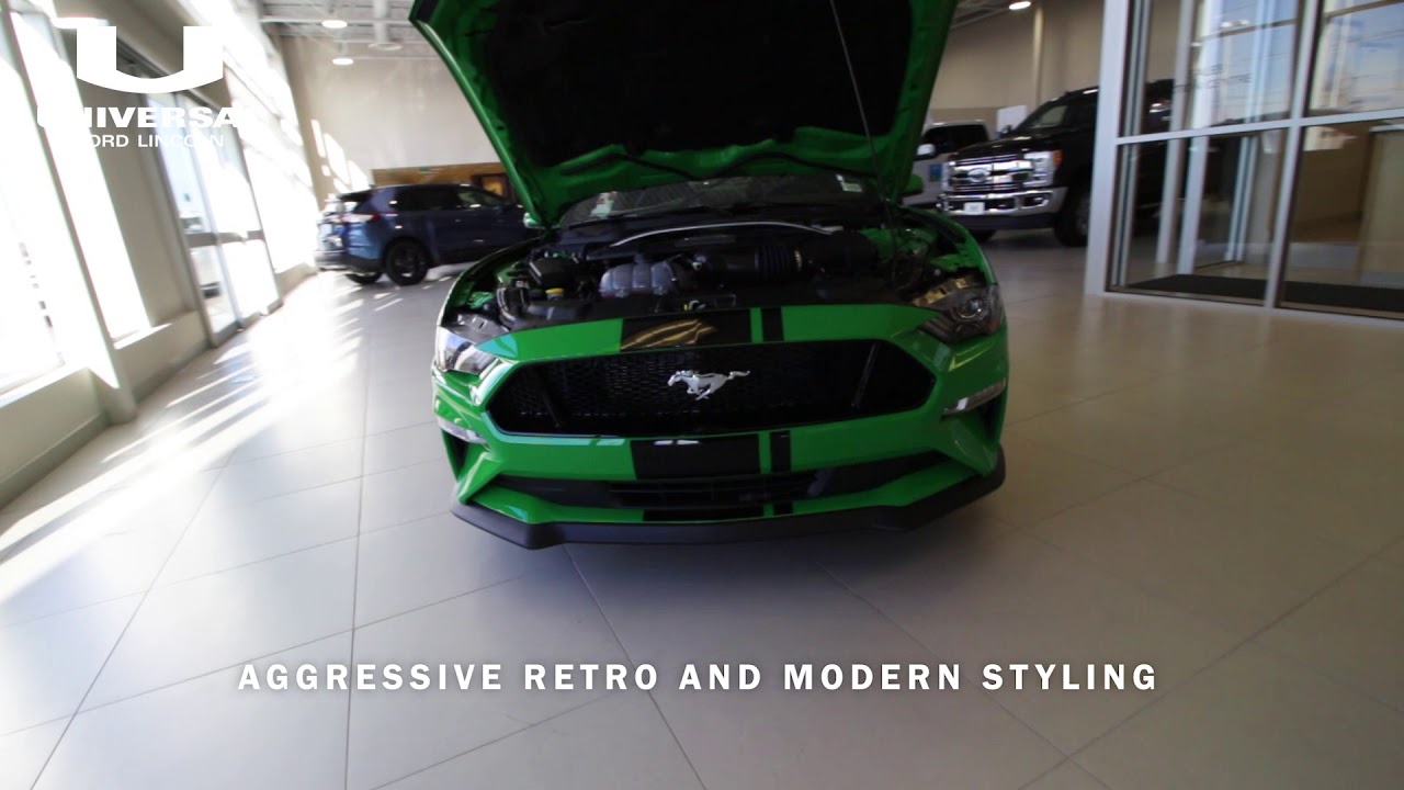 2019 Mustang GT Walkaround