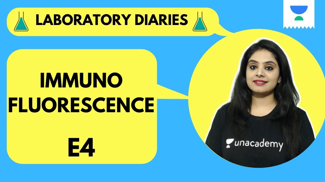 LABORATORY DIARIES | E4 |  immunofluorescence | Dr.Preeti Sharma