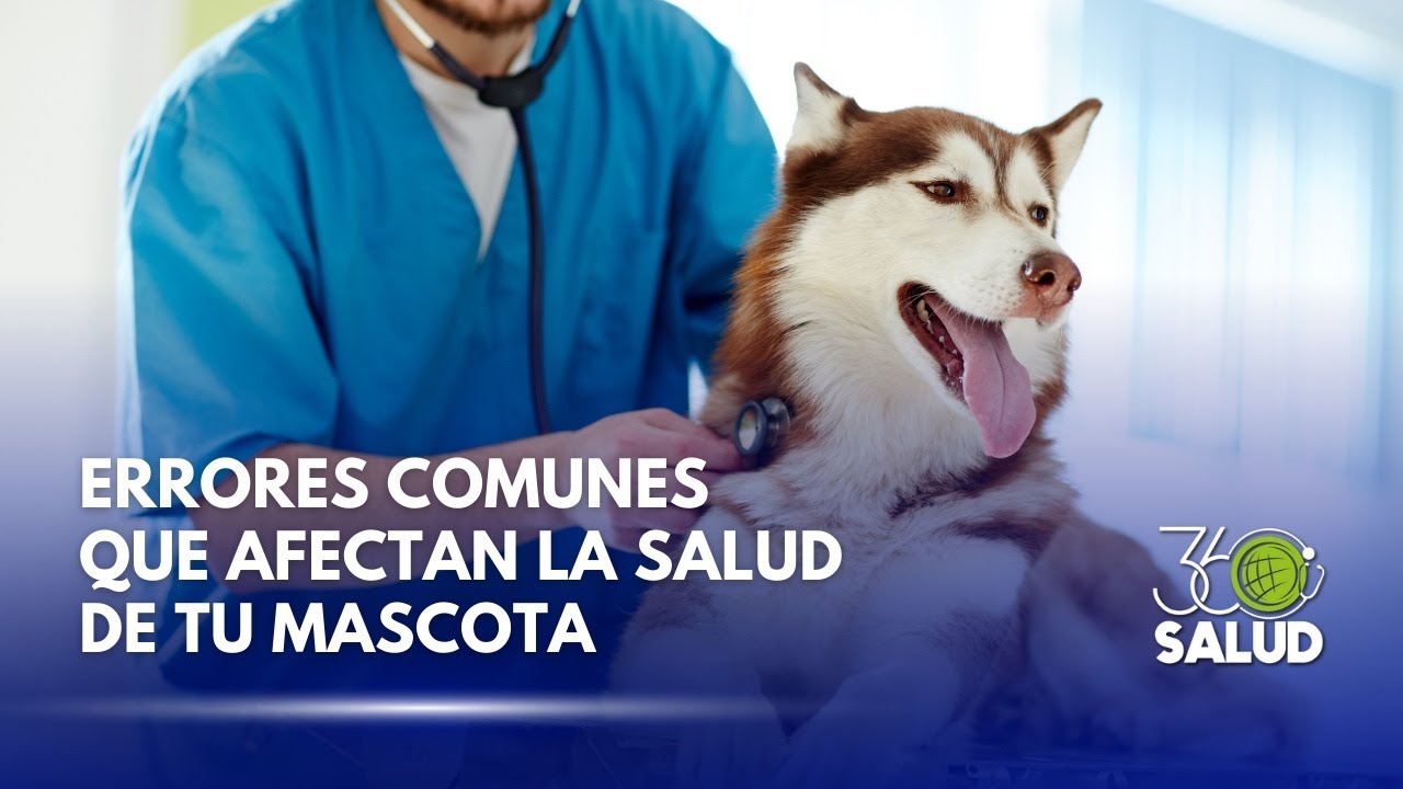 SALUD Y BIENESTAR DE LAS MASCOTAS: LO QUE DEBES SABER