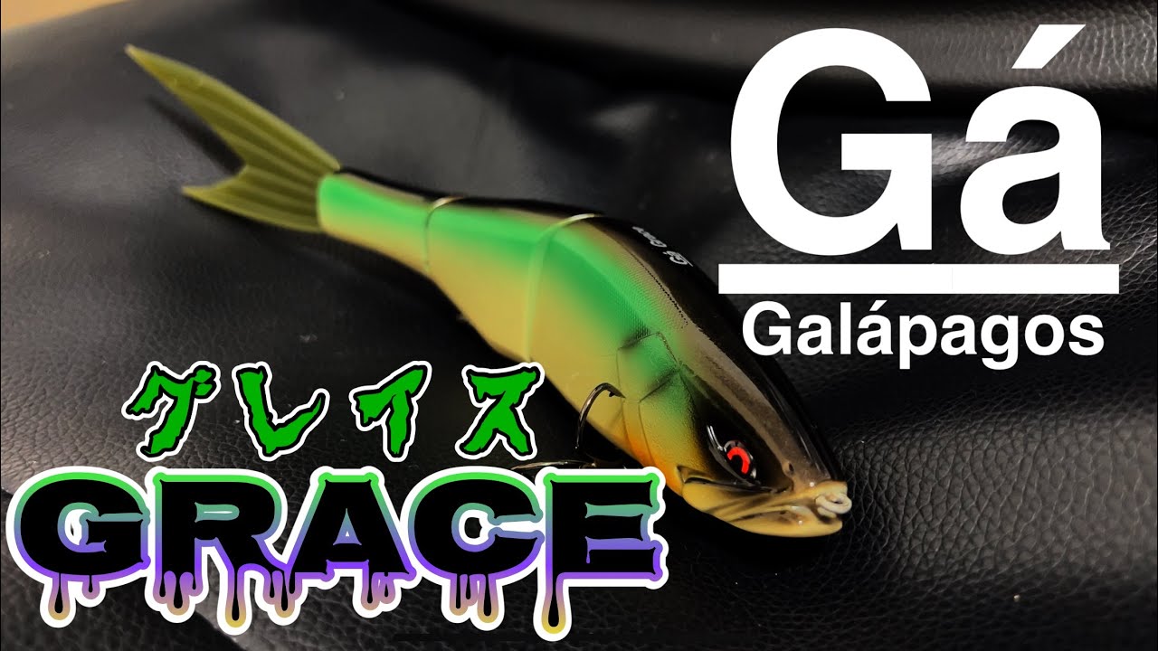 【Galápagos(ガラパゴス)】Grace(グレイス)のこのアクション釣れるわ