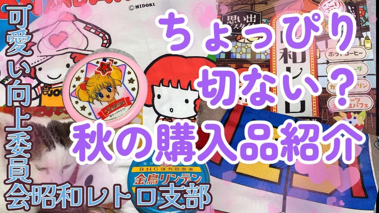 【小さい秋見つけた？】秋の購入品紹介【可愛い向上委員会昭和レトロ支部】