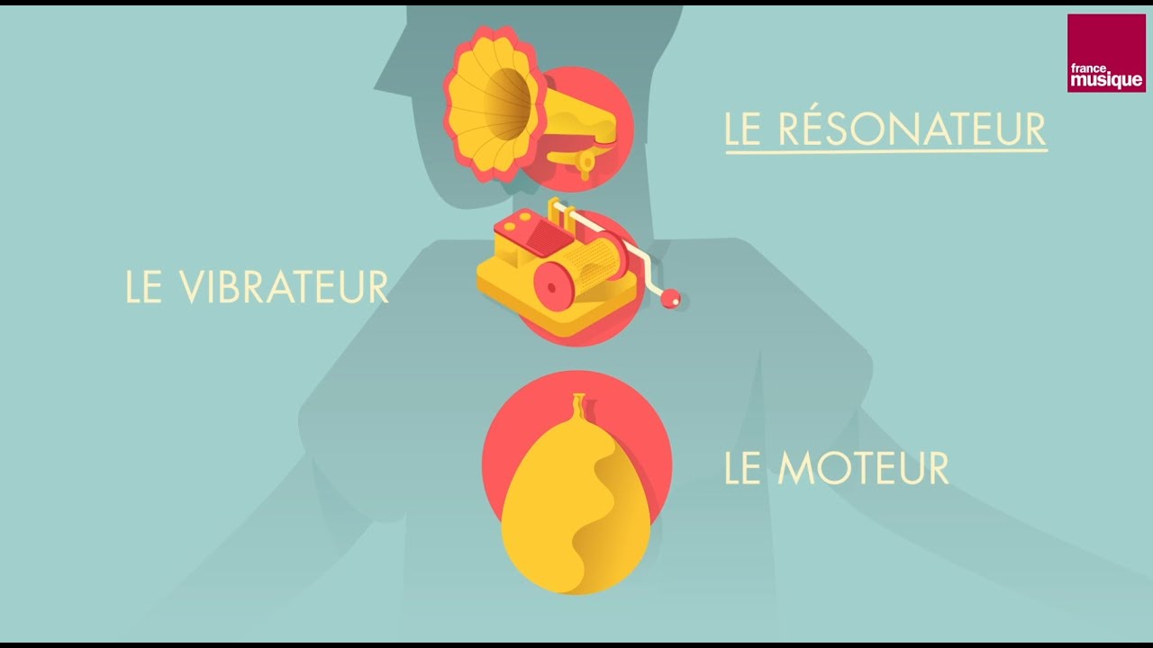 Comment fonctionne la voix ?