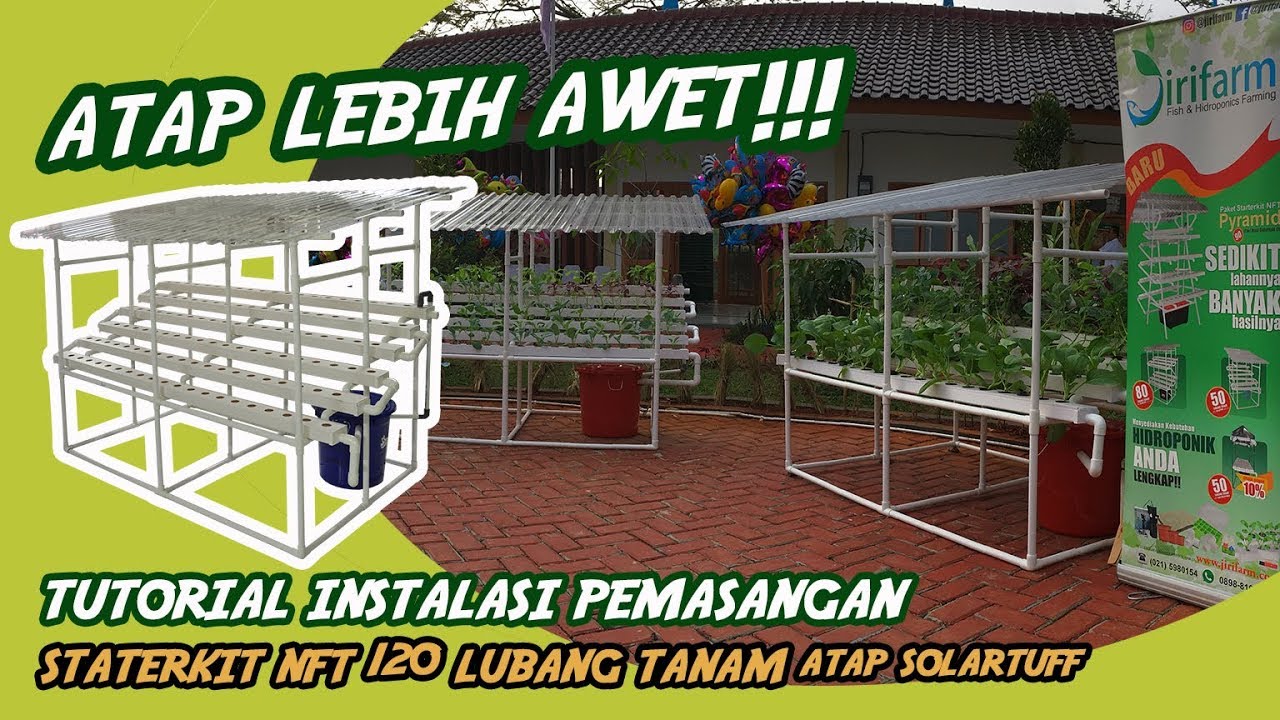 ANTI HUJAN !! |Tutorial Pemasangan Staterkit Hidroponik NFT 120 LT Atap Solartuff #NFT #hidroponik
