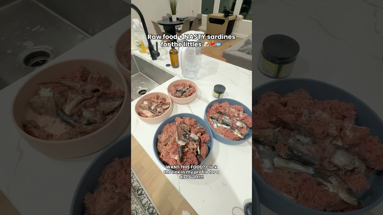 Raw food + NASTY sardines for the littles 🐶🥩🐟 #rawfood #rawdogfood #foodfordogs #rawfooddiet