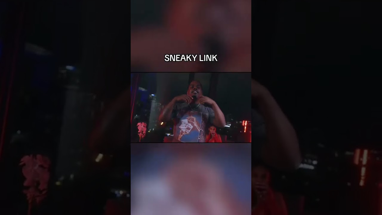 They Asked Me What I Think Of Sneaky Links? 