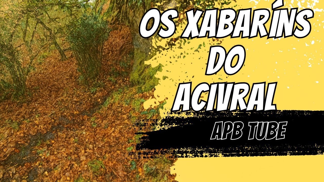 🐗 Seguimos cos xabaríns do acivral