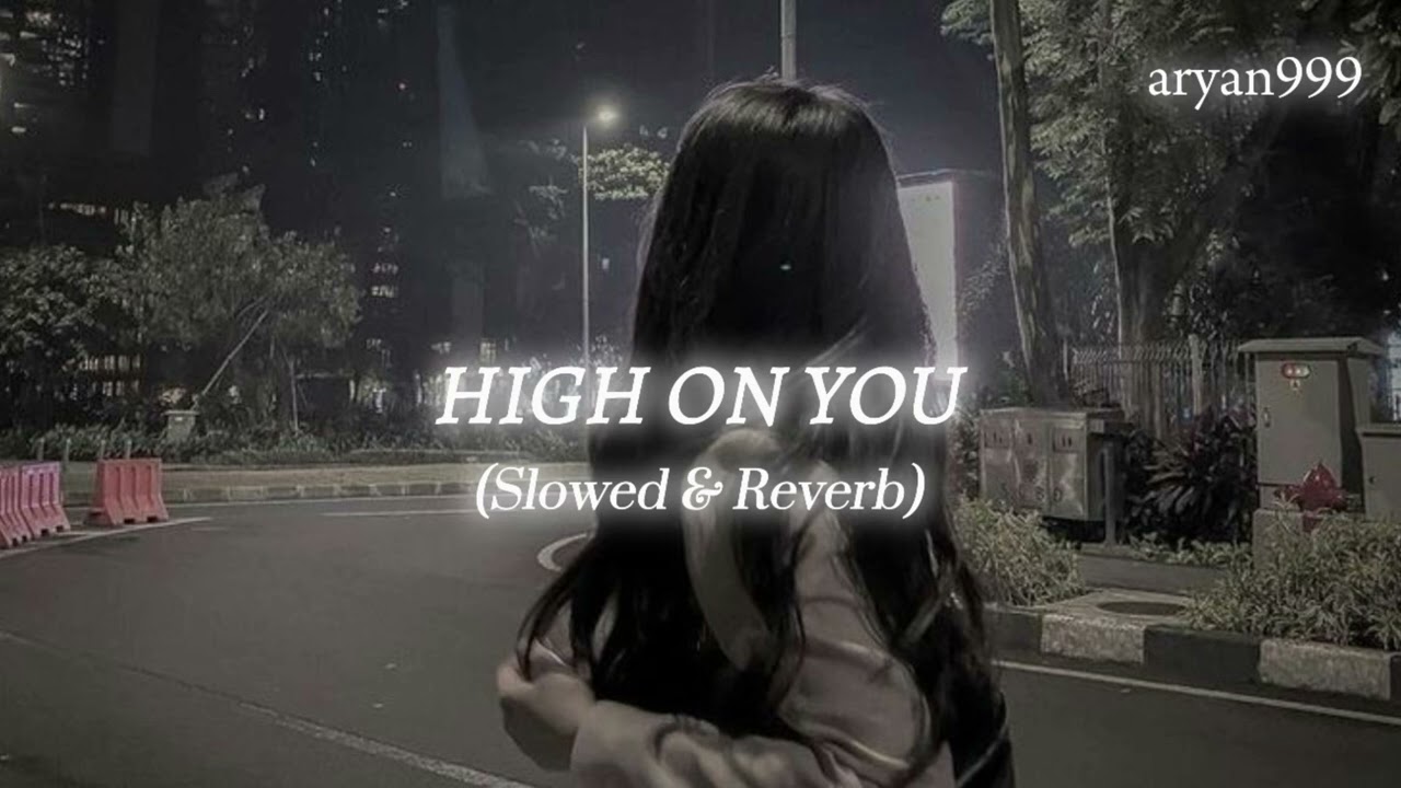 High On You (Slowed & Reverb) | ARYAN