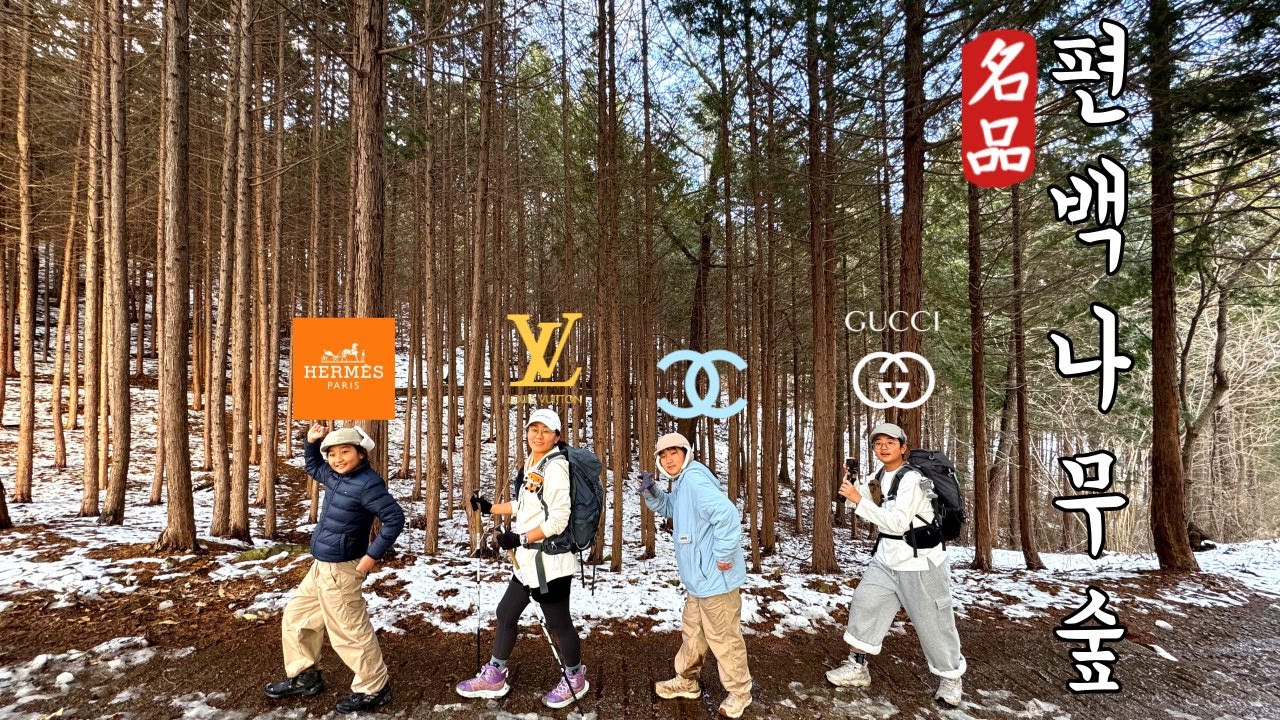 누구나 갈수 있는 명품 편백나무 숲🌳 | 장성 | 축령산 | 100대명산 | 최단코스 | EASY