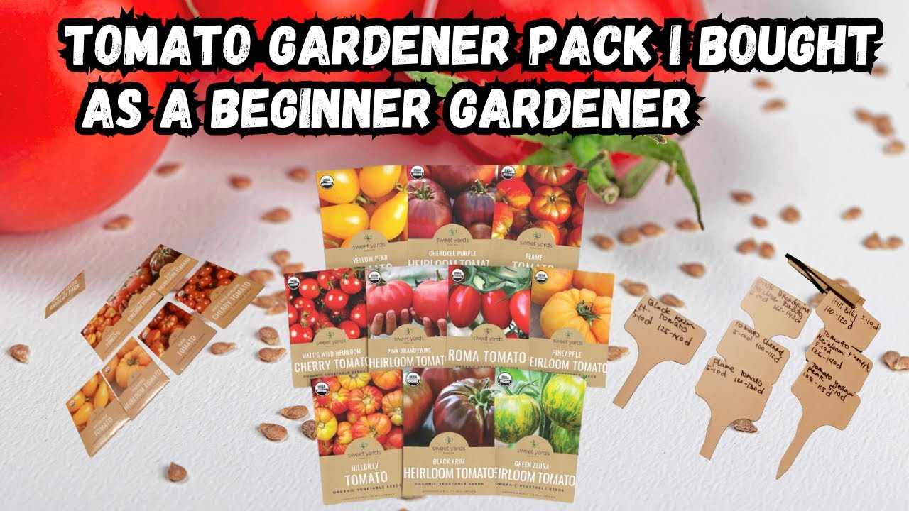 Using Party Cup To Grow Flower Seeds For My Garden