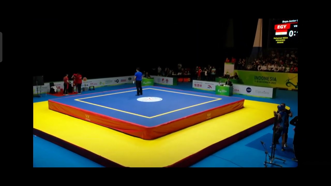 World Wushu Championships 56 KG ( Mohamed REDA - EGY - VS - AZE - Amin ALILI ) Quarterfinal
