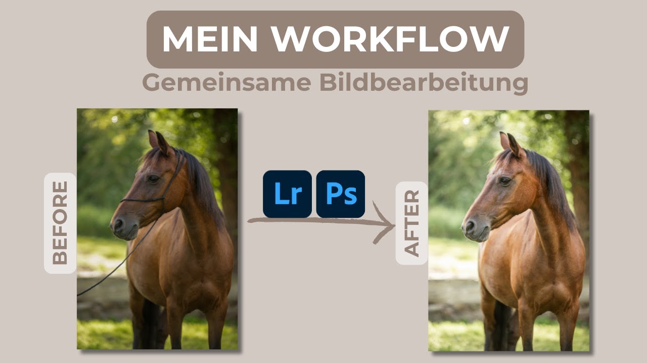 Bildbearbeitung Pferdefotografie | Pferdebild in Photoshop bearbeiten | Einblicke in meinen Workflow