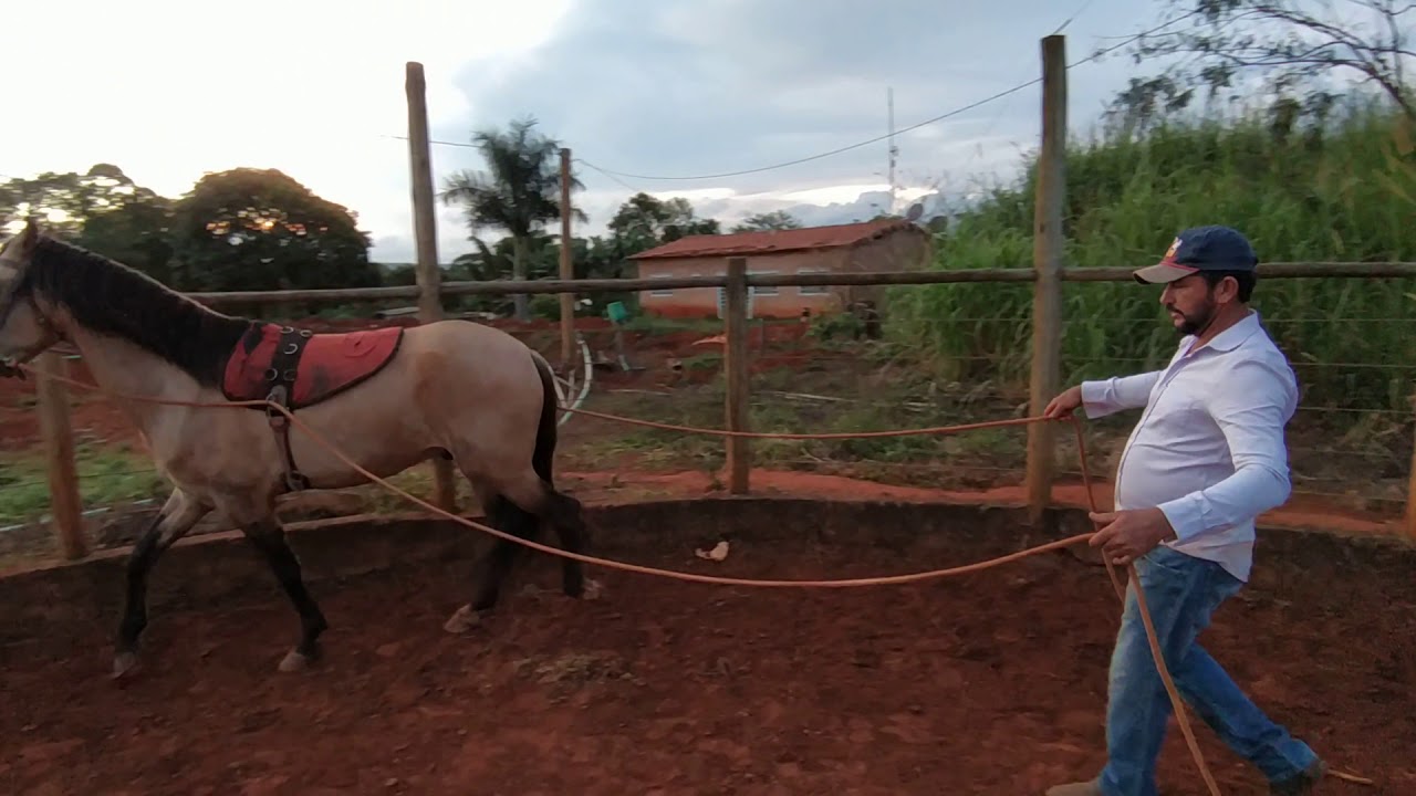Doma racional CHARRETEAMENTO